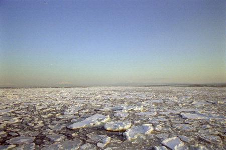 ���X(20020210)