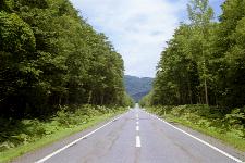 �����Q�V�R����