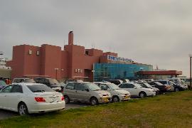 �Ϗ��q���`�t�F���[�^�[�~�i��