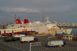 �V���o�[�N�B�[��