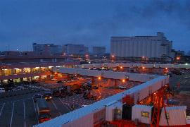 �Ϗ��q���`