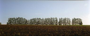 �}�C���h�Z�u���̋u