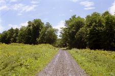 �f���O�җѓ�