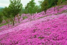 �������u�ł�����܂�v