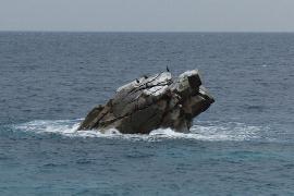 ��J�J����