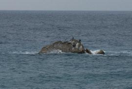 ���J�J����