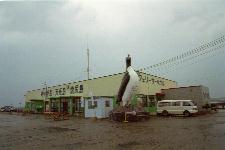 �H�y�`�t�F���[�^�[�~�i��