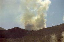 ������������\���x