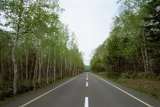 �����X�U�U�����i�����X���j