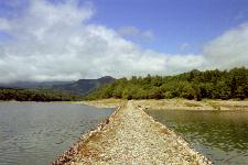 �^�E�V���x�c�싴������\���O�ҕ��ʂ�]��