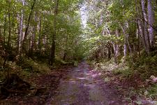 �����S�m�y���p���Ձi�f���_�����ݑO�̋����j