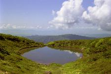 �����i��Q�W�]�t�߁j����̒���