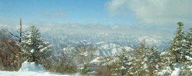 ��Í����������X�L�[��(19980218)