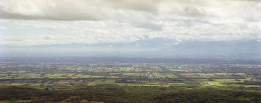 ����W�]�䂩��̒���