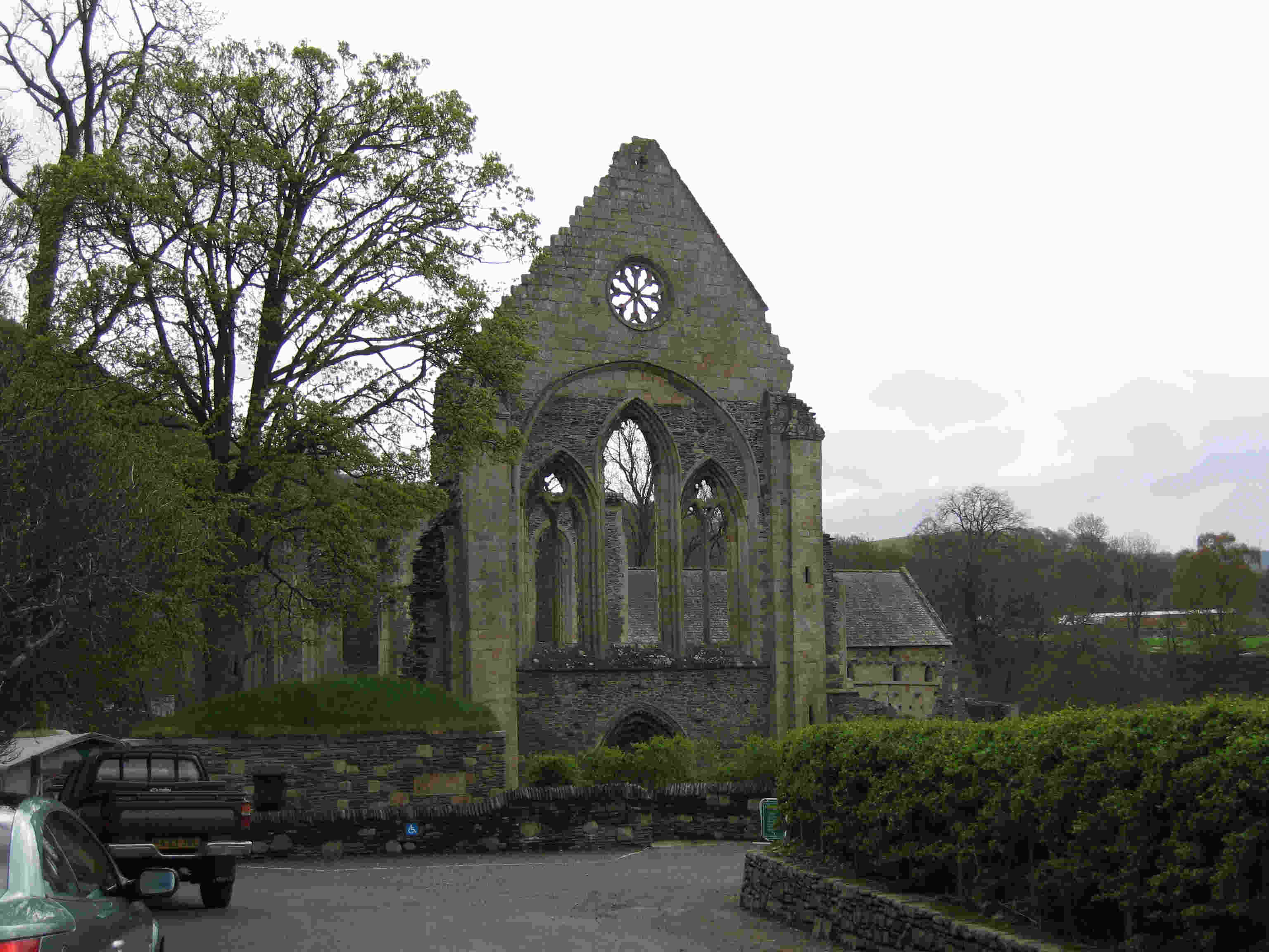 �l���s�摜