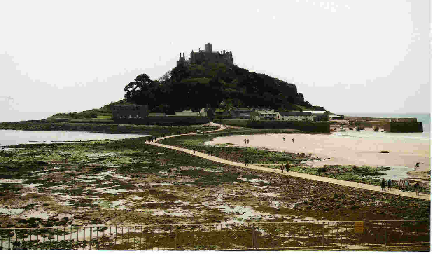 �l���s�摜�i�Z���g�E�}�C�P���Y�E�}�E���g�j