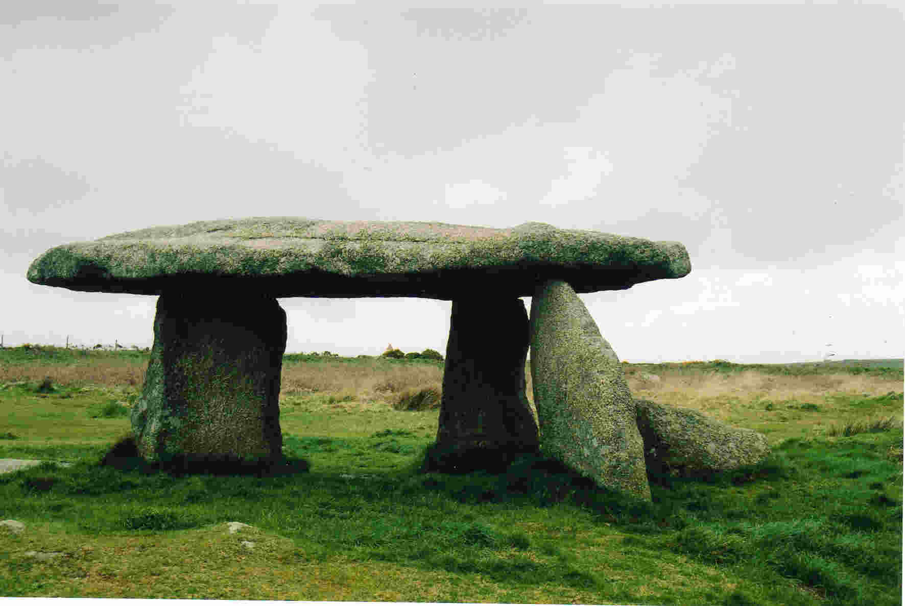 �l���s�摜�i�X�J�C���j