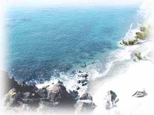 �l���s�摜