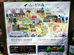 Forest of Muse Karuizawa