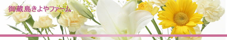 �z�[���y�[�W �^�C�g��