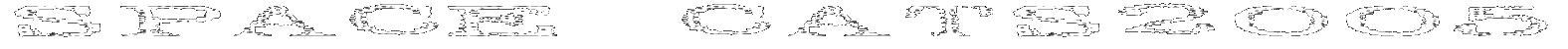 SPACE CATS2005