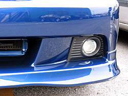 �t�����g�A���_�[�X�|�C���[�̉摜