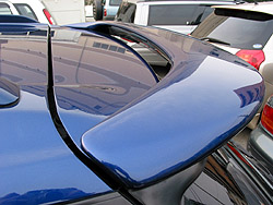 ���[�t�X�|�C���[�̉摜1