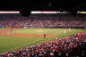 ANGEL STADIUM5