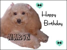 �t���[��