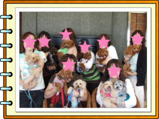 �t���[��