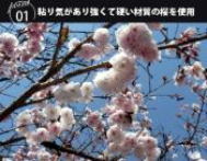 京都活具　桜の木ベラ