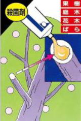 トップジンMペースト