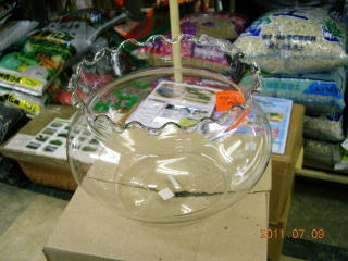 クリアーガラス金魚鉢（大）