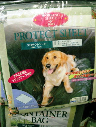 プロテクトシート（PROTECT　SHEET）