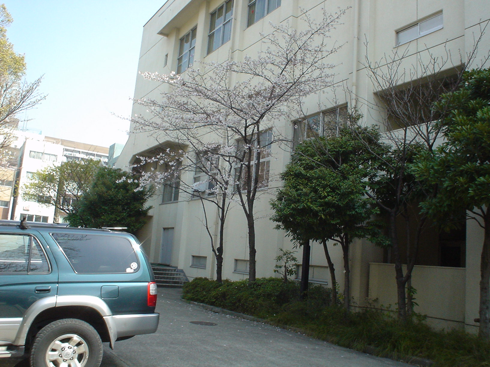 ���݂̗������Z