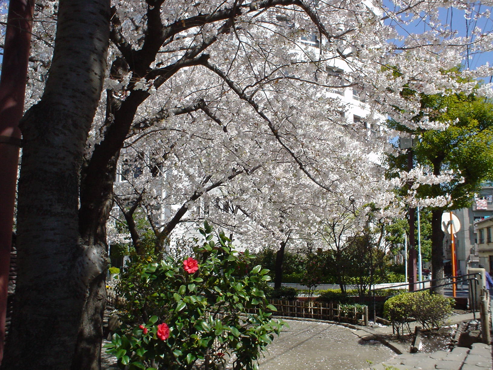 ���Ɍ�����̂��󑐍��Z