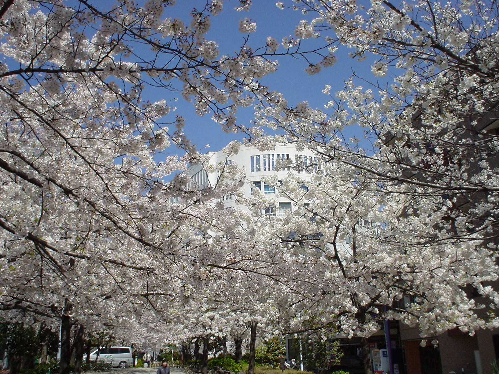 �s���������Z�󑐕��Z