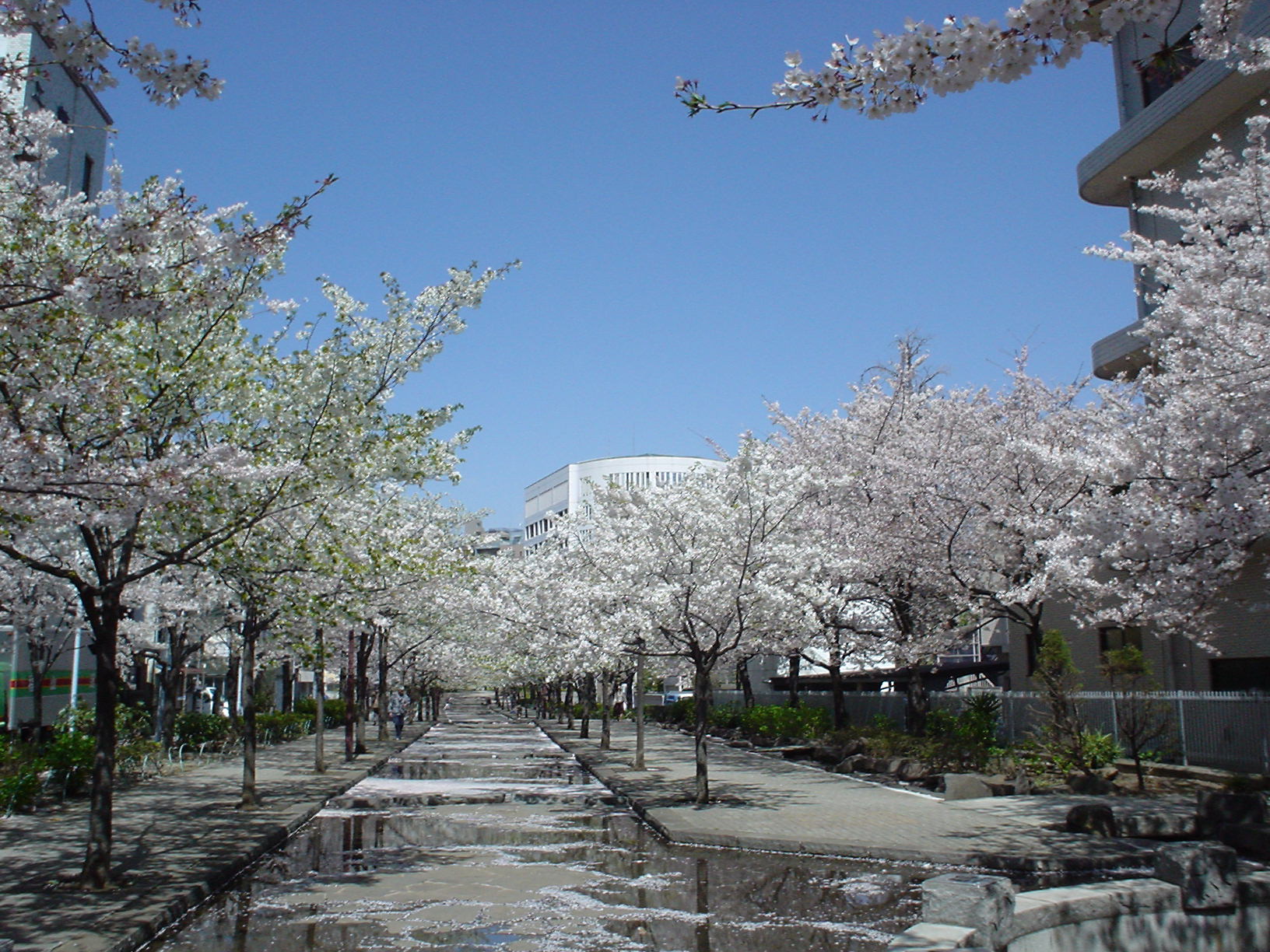 �ړ]�����̐󑐍��Z