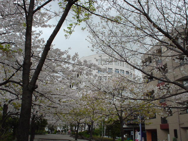 �t�̐󑐍��Z�B�����ɂ��̓܂��ł����B