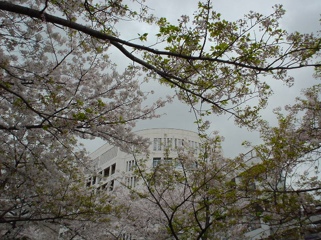 �󑐍��Z�F�����ɂ��̓܂��̌��Ɍ����܂��B