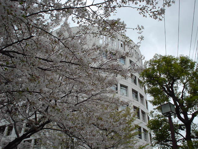 �Z����w�K�ꏊ���ς���Ă��׋����邱�Ƃɉ��̕ς�������܂���B