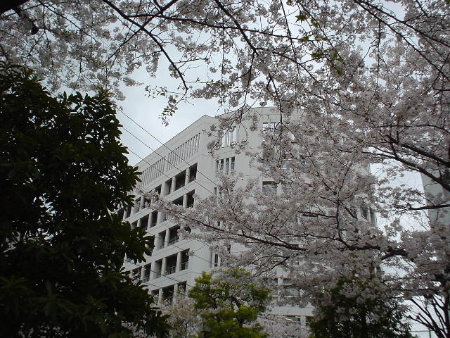 �󑐍��Z�͂��΂炭����Ɖċx�݁B