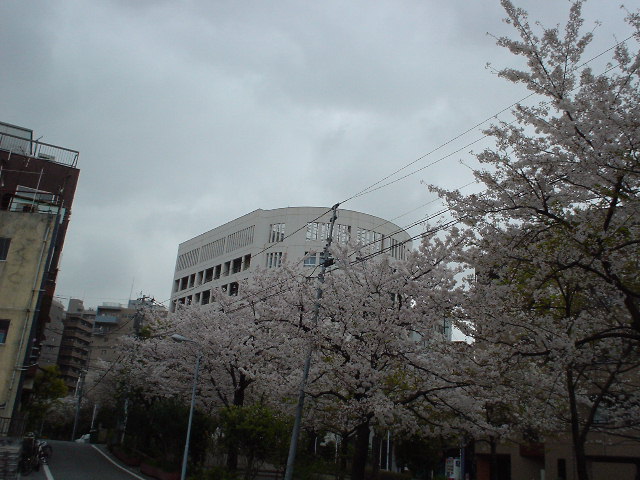 �܂��̂��߂��A�󑐍��Z�͂͂����茩���܂���B