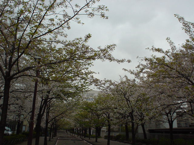 �󑐍��Z�F���ꂩ����҂����܂�w�Z�ł��B