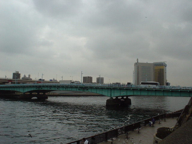 ���⋴�̔w��̌����͖n�c������炵���B