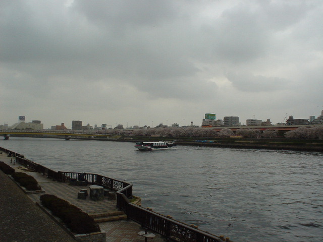 ���⋴�߂��̋��c��