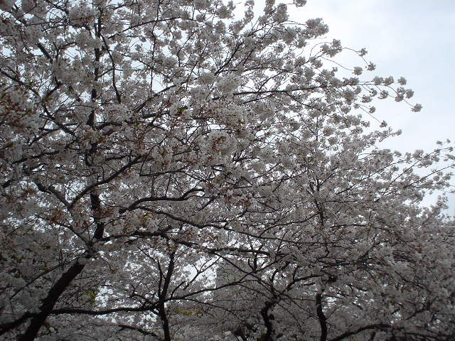 ���c�����ɂ�