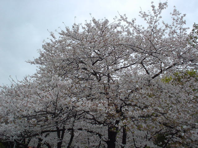 �󑐍��Z�̋߂��̋��c������̍�