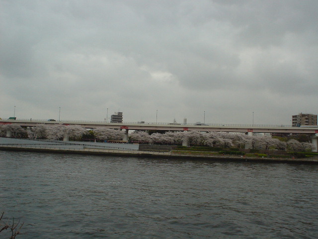 ���⋴�߂��̋��c��