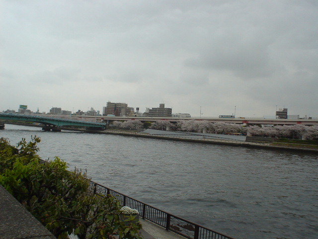 �󑐍��Z�̋߂��𗬂����c��